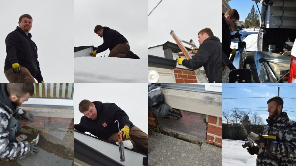 Mice Proofing and Home Inspection in Morton Grove IL