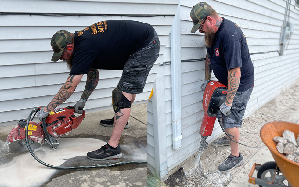 mice extermination and proofing chicago il