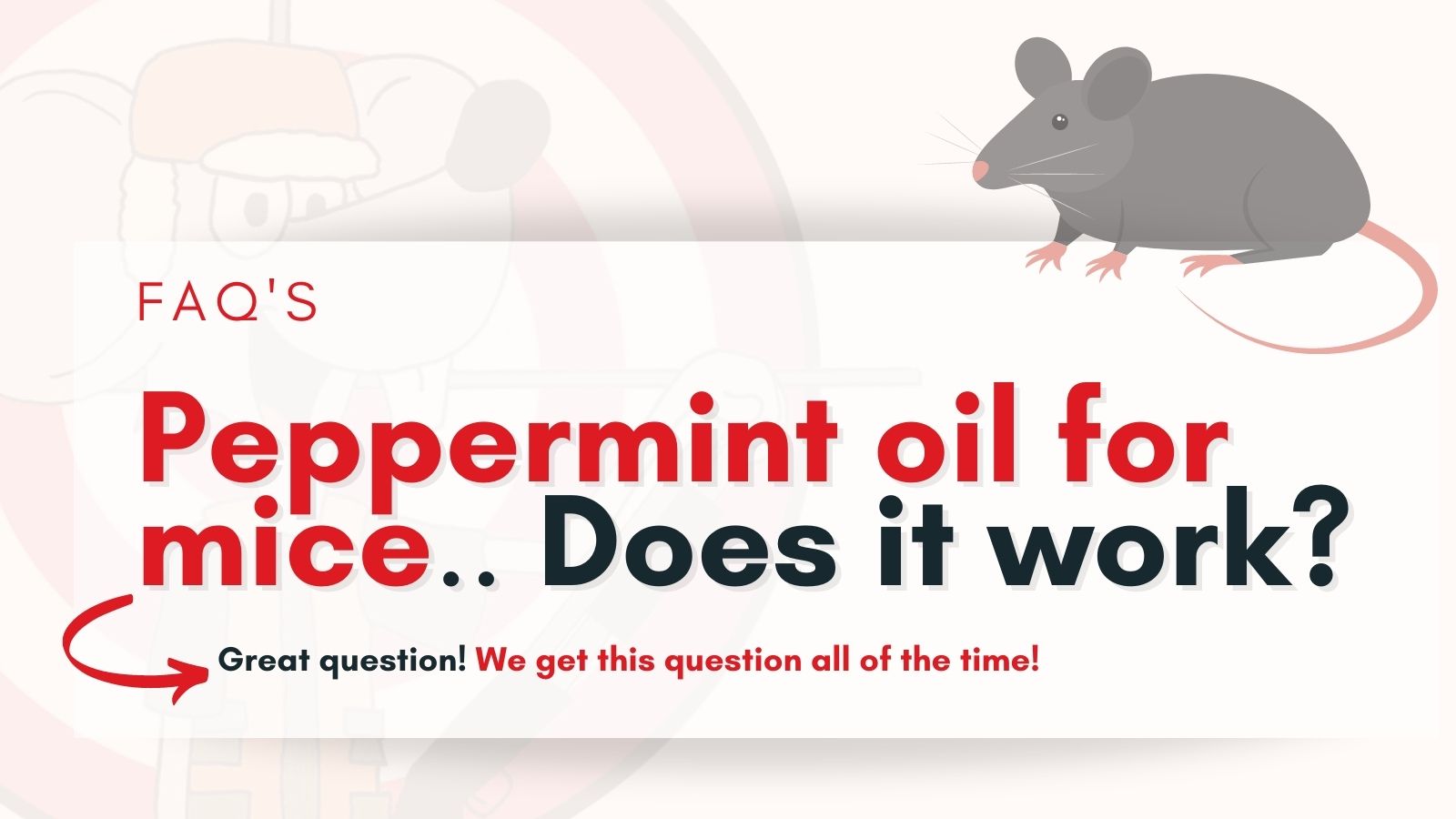 Peppermint Oil For Mice - Does it Work?