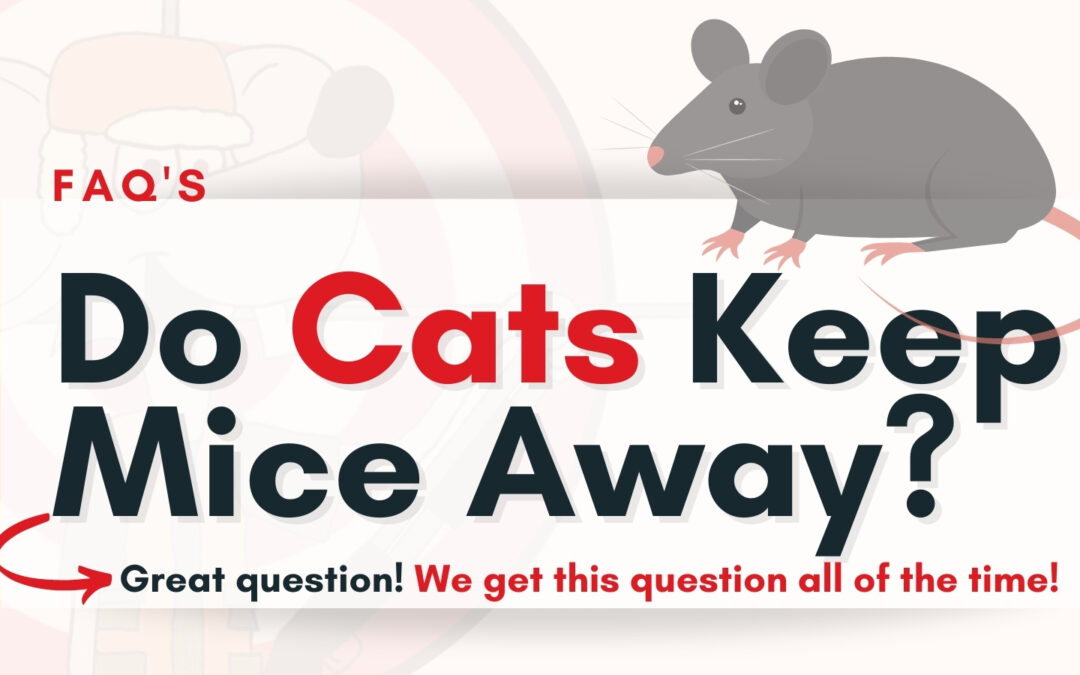 Do Cats Keep Mice Away?