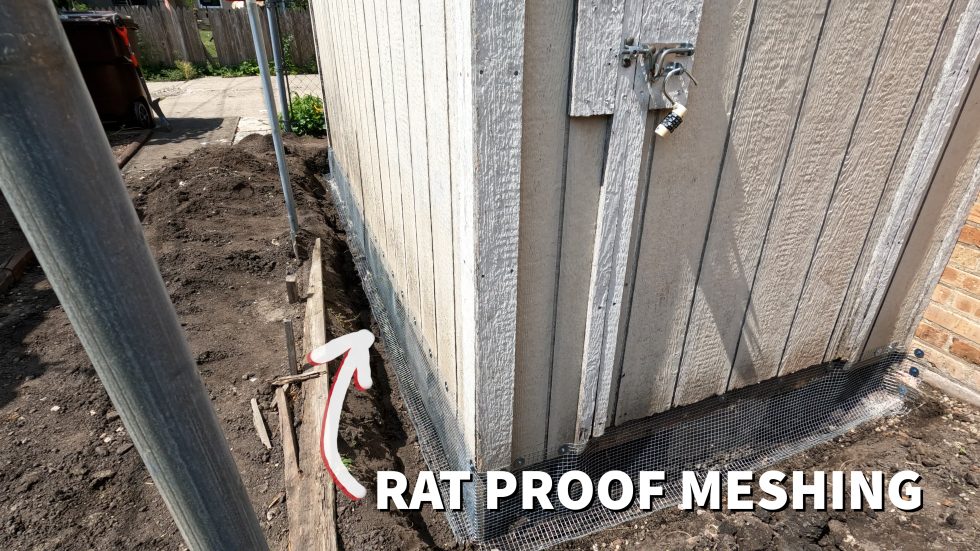 How to RAT PROOF A SHED | How to keep rats out! - Mice Hunters