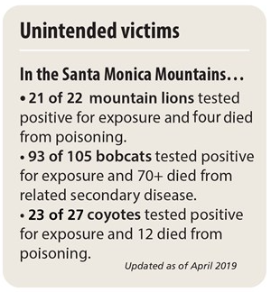 rodenticides impact on animals