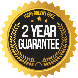 Mice Hunters 2 Year Rodent Free Guarantee