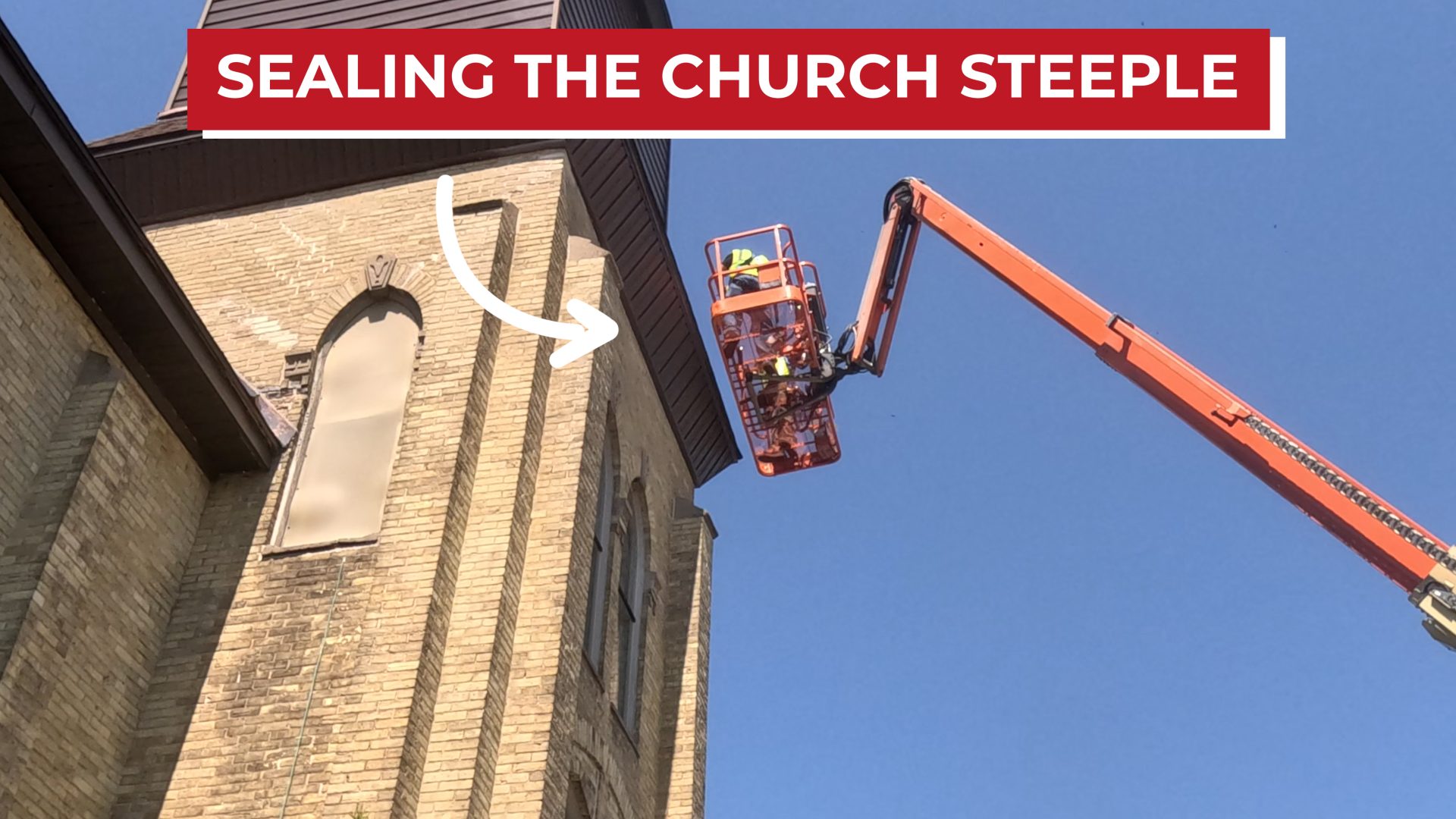 bats in church steeple